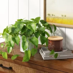 Threshold Shop 39 14" X 28" Artificial Pothos Plant In Pot - Threshold™