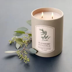 Threshold Shop 33 20oz Ceramic Blackberry Eucalyptus Candle Green - Threshold™ Designed With Studio McGee